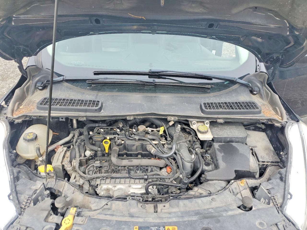 2019 Ford Escape Sel - zdjęcie 12