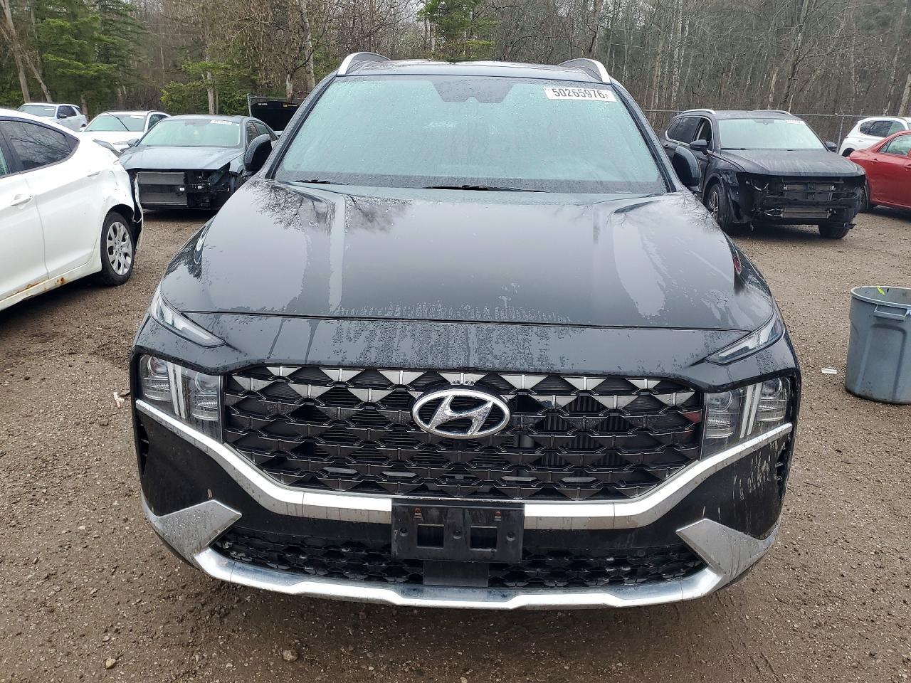 2023 Hyundai Santa Fe Calligraphy - zdjęcie 5