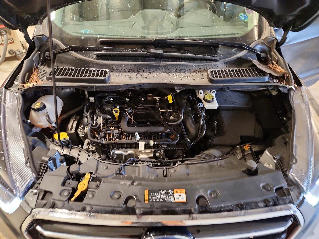 2019 Ford Escape Se - zdjęcie 11