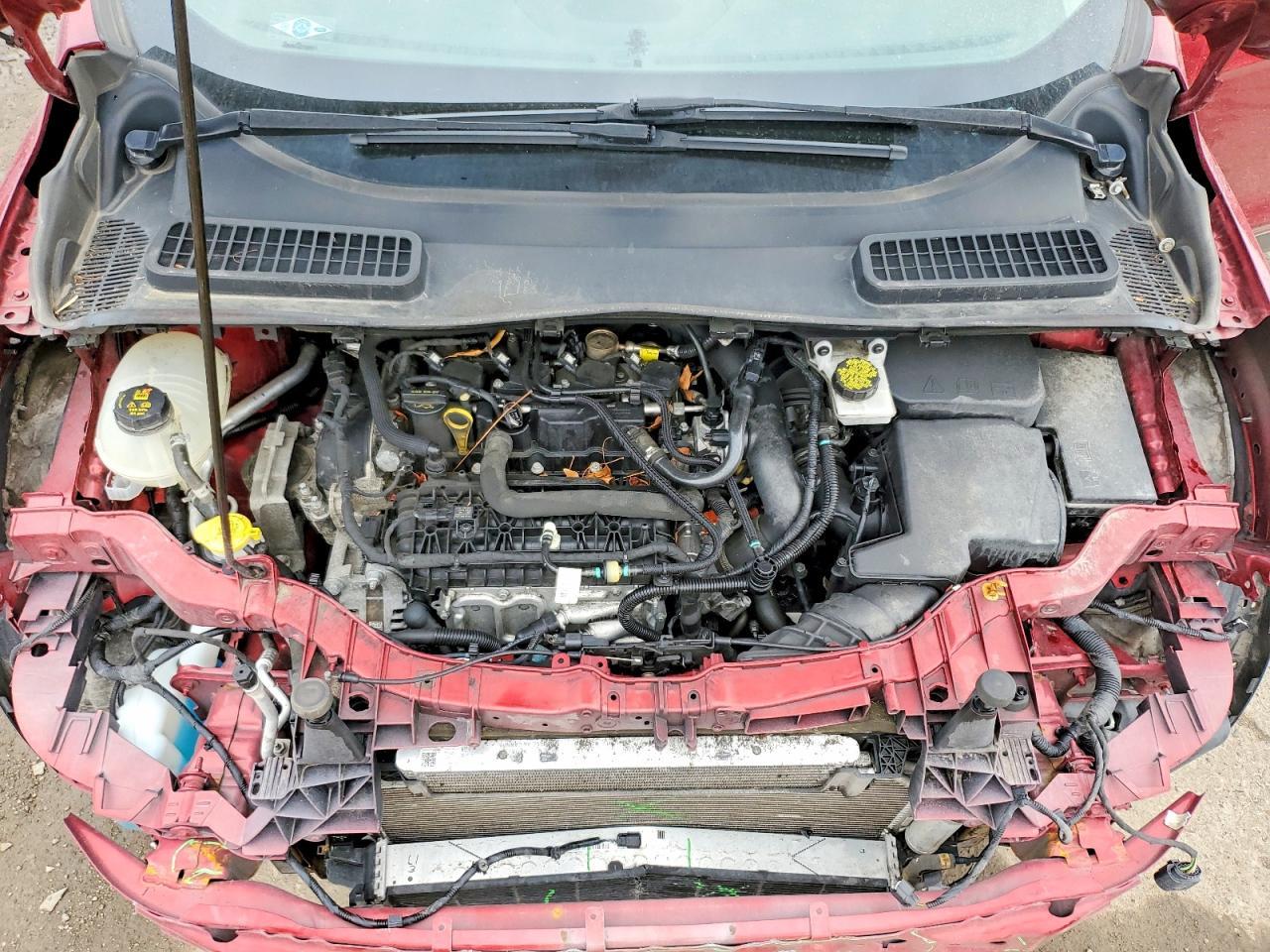 2019 Ford Escape Sel - zdjęcie 12