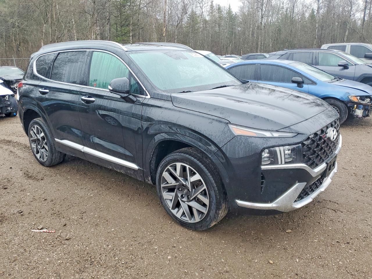 2023 Hyundai Santa Fe Calligraphy - zdjęcie 4