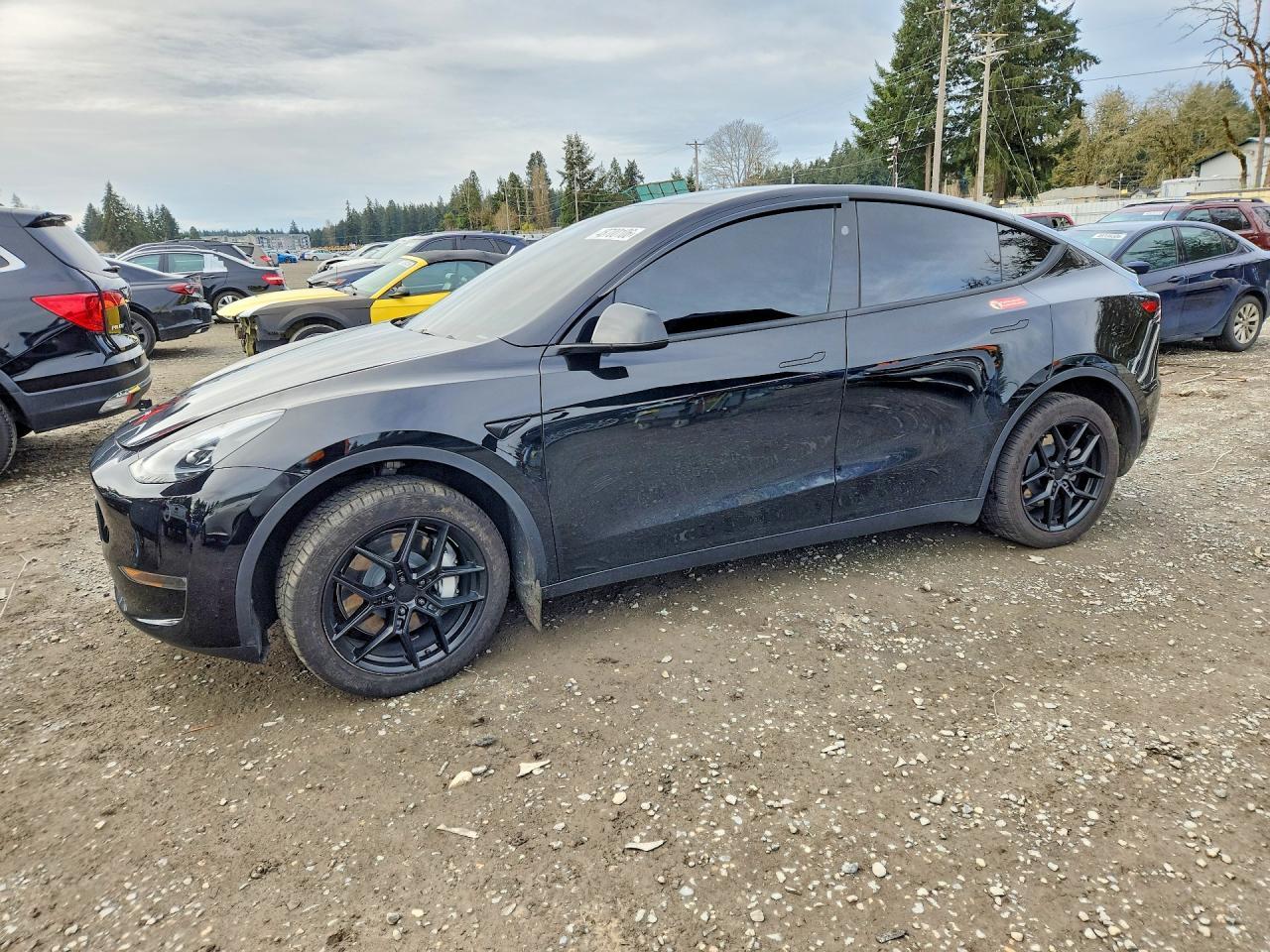 2024 Tesla Model Y - zdjęcie główne