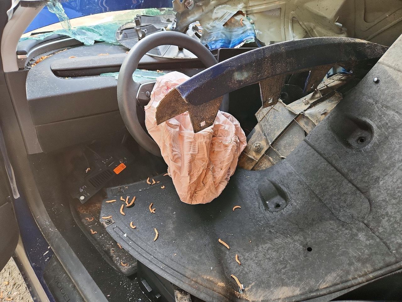 2025 Tesla Model 3 - zdjęcie 8