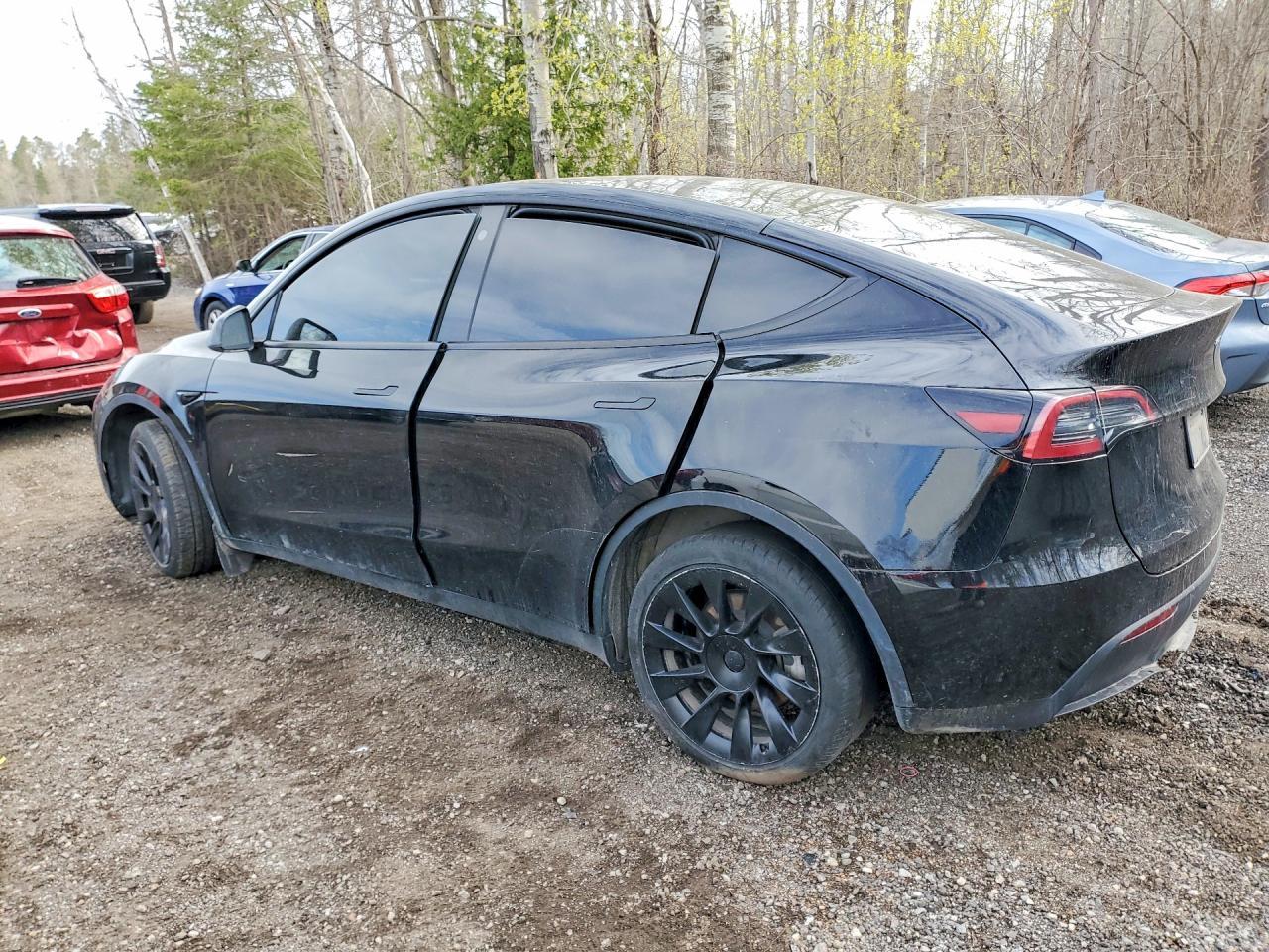 2023 Tesla Model Y - zdjęcie 2