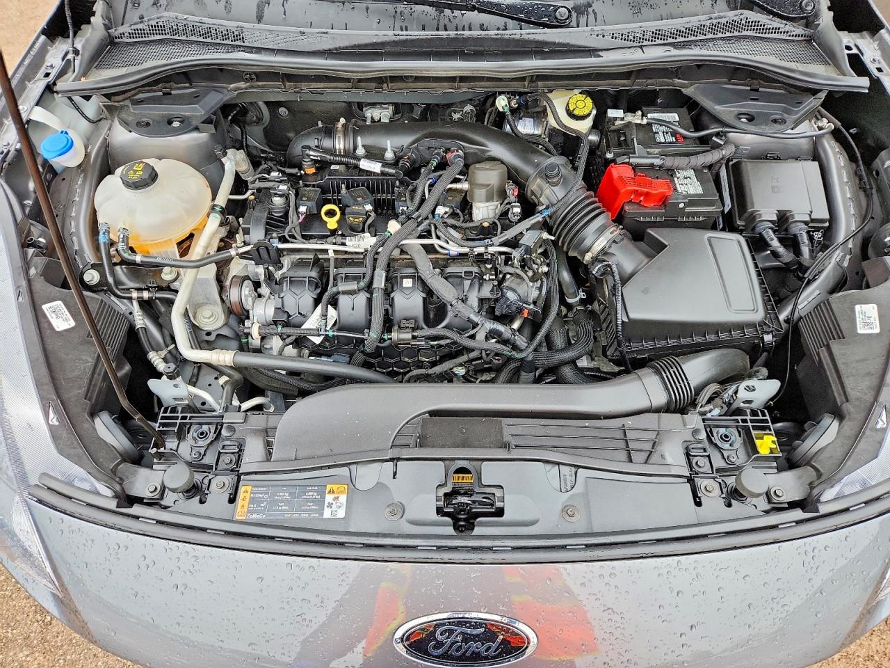 2022 Ford Escape Sel - zdjęcie 12