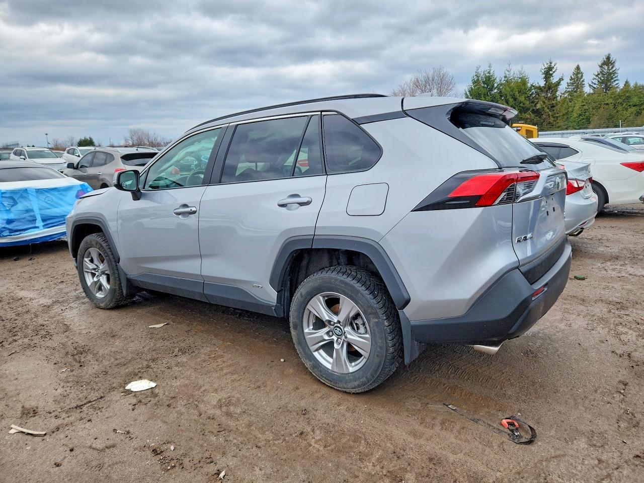 2024 Toyota Rav4 Hybrid Xle - zdjęcie 2