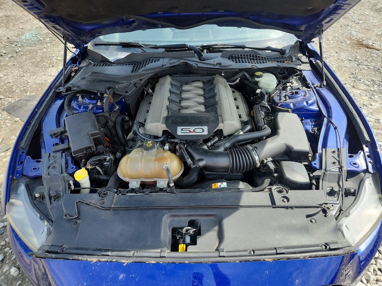 2015 Ford Mustang Gt - zdjęcie 11