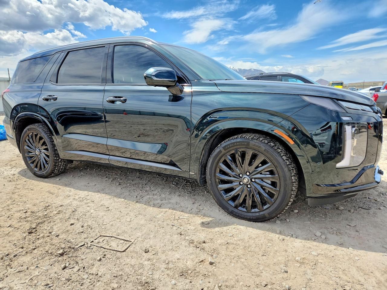 2023 Hyundai Palisade Calligraphy - zdjęcie 4