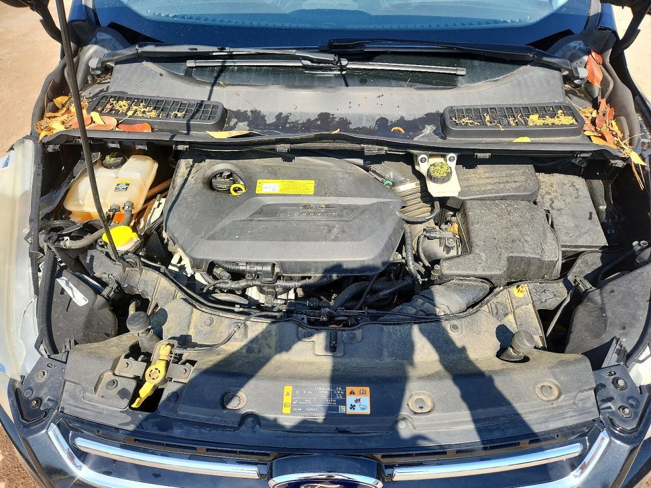 2013 Ford Escape Sel - zdjęcie 12