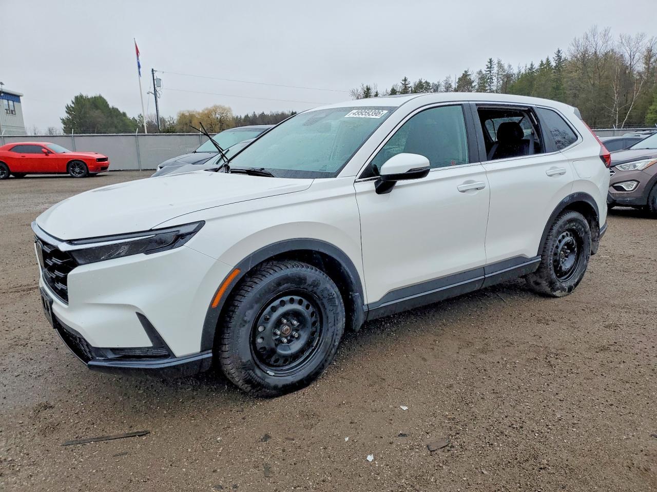 2024 Honda Cr-V Exl - zdjęcie główne