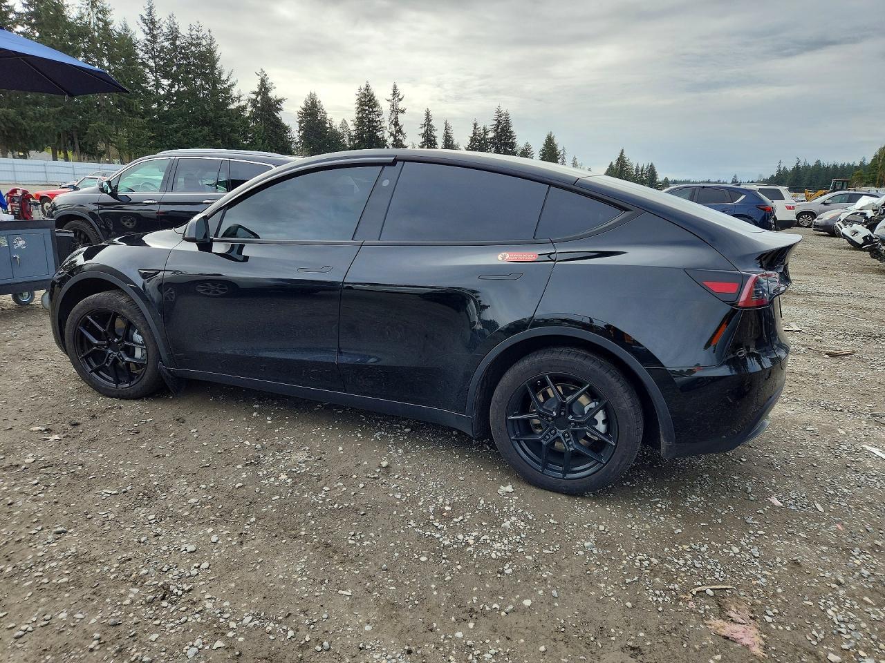 2024 Tesla Model Y - zdjęcie 2