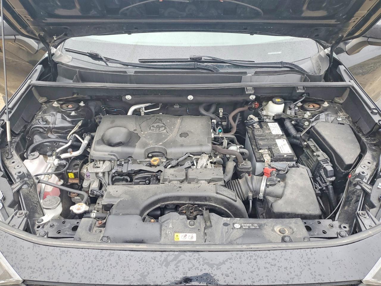 2019 Toyota Rav4 Le - zdjęcie 12