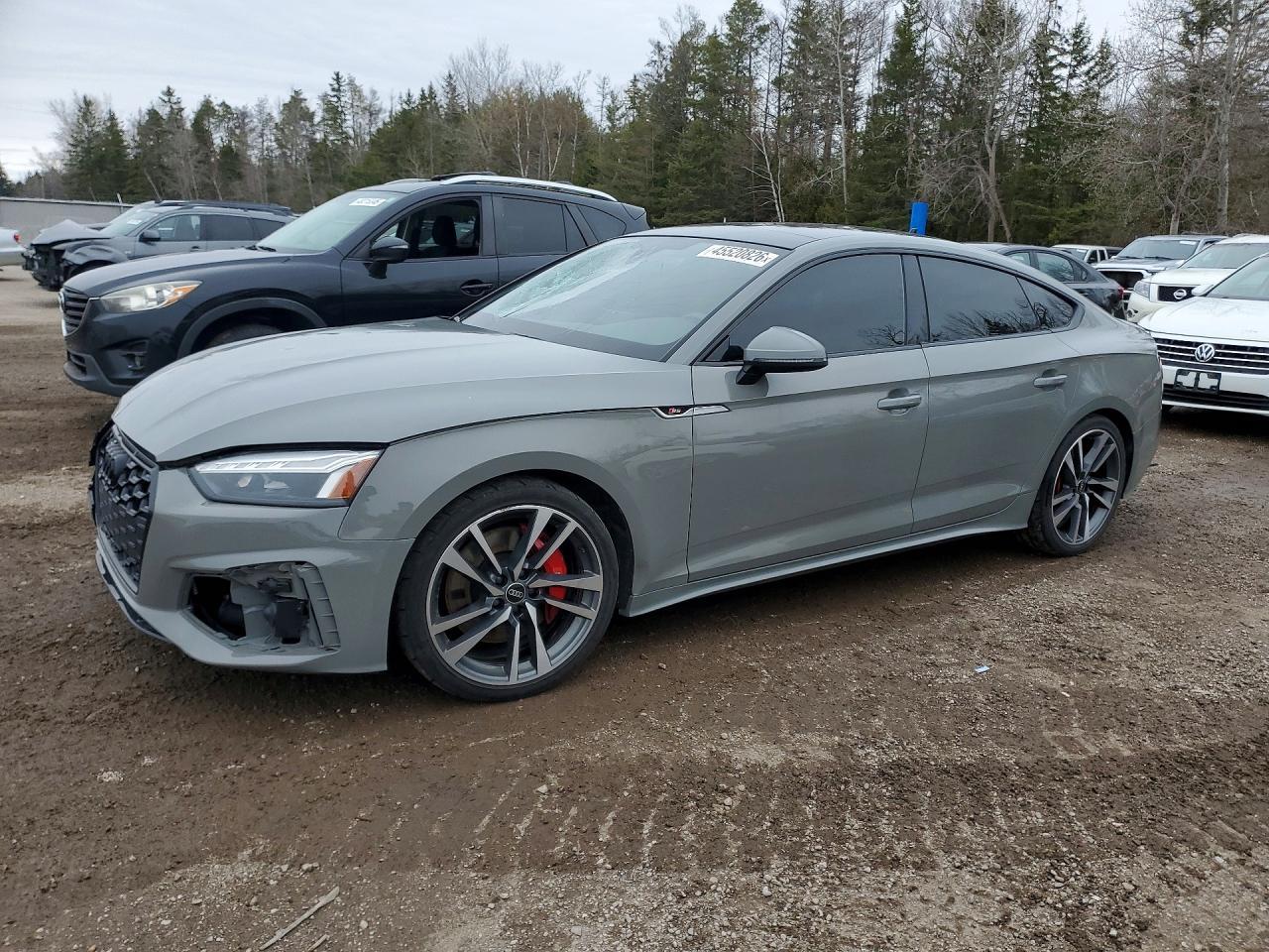 2022 Audi S5 Premium - zdjęcie główne