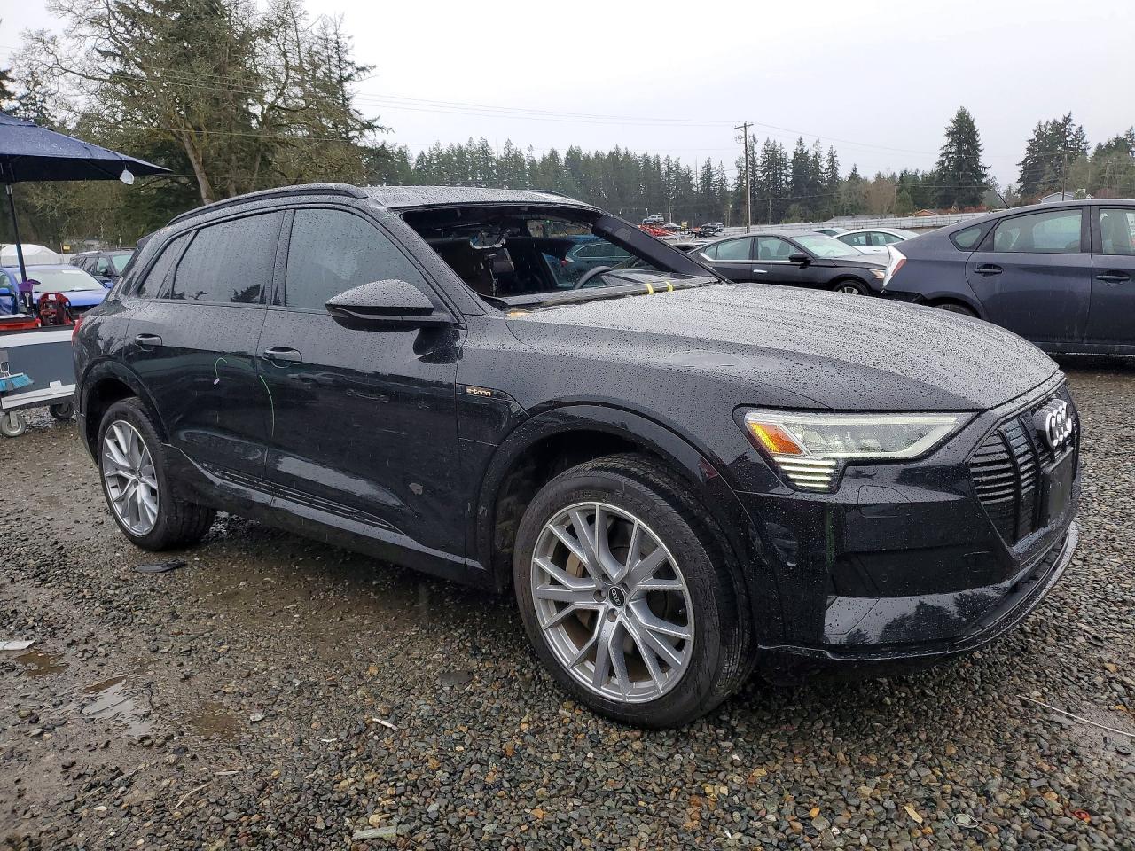 2021 Audi E-Tron Prestige - zdjęcie 5