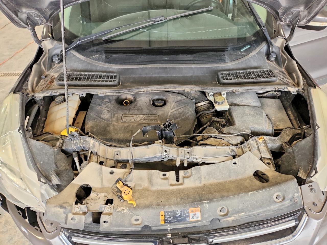 2013 Ford Escape Sel - zdjęcie 12