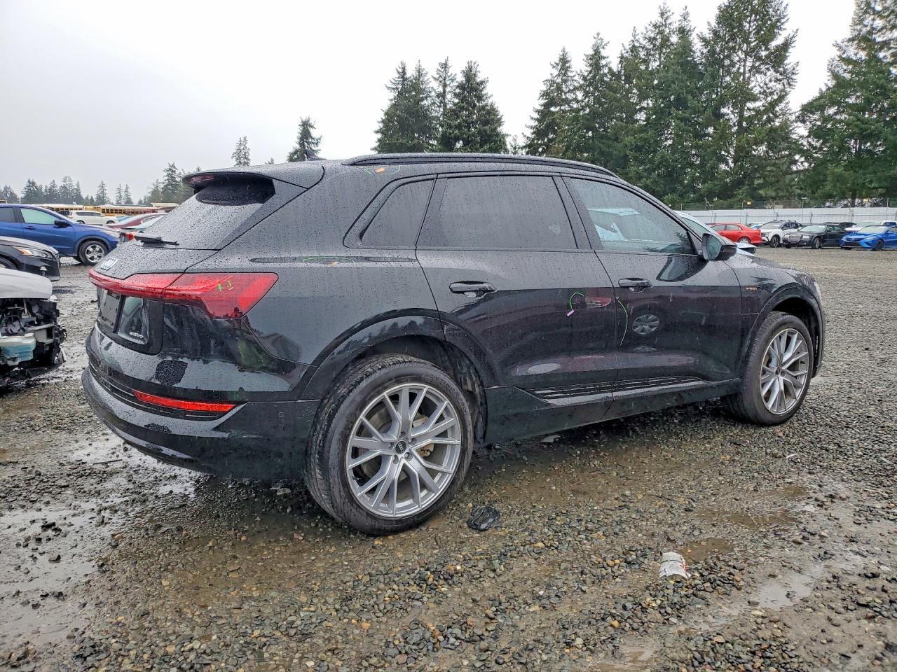 2021 Audi E-Tron Prestige - zdjęcie 4