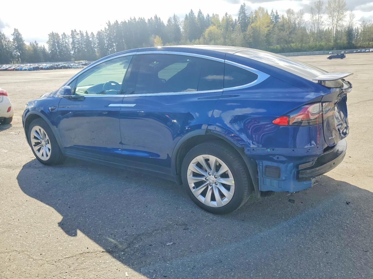 2017 Tesla Model X - zdjęcie 2