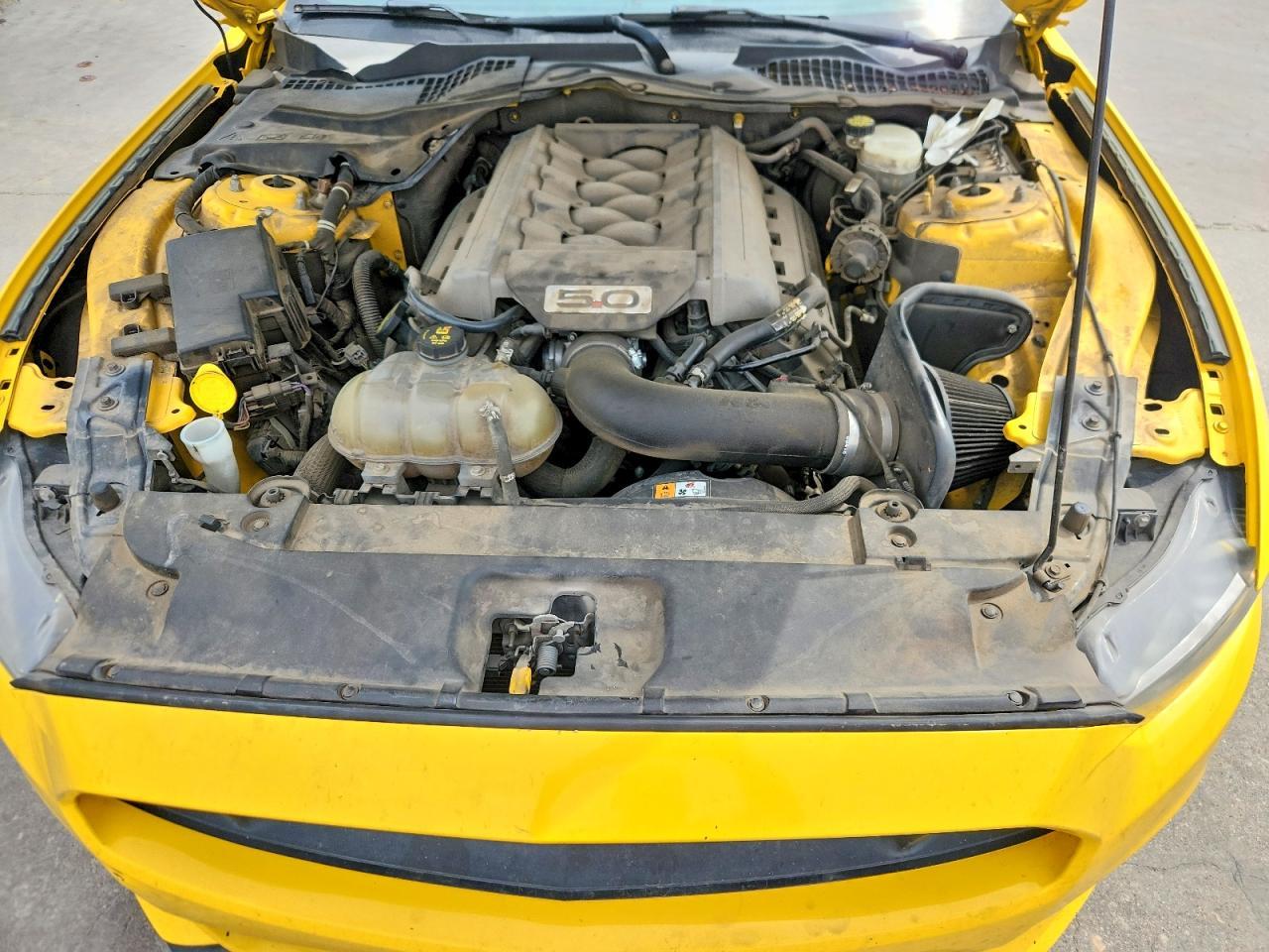 2015 Ford Mustang Gt - zdjęcie 11