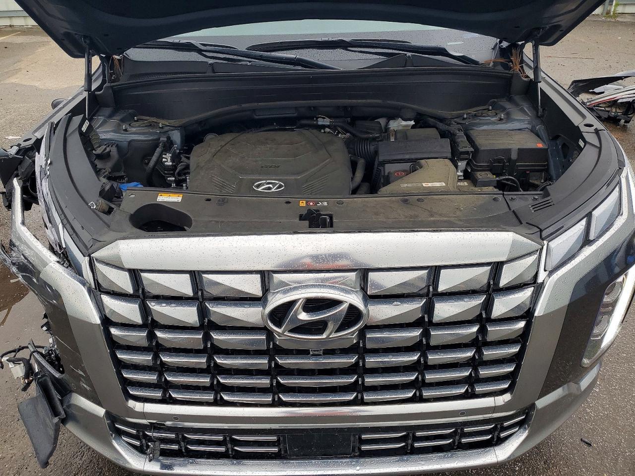 2025 Hyundai Palisade Calligraphy - zdjęcie 12