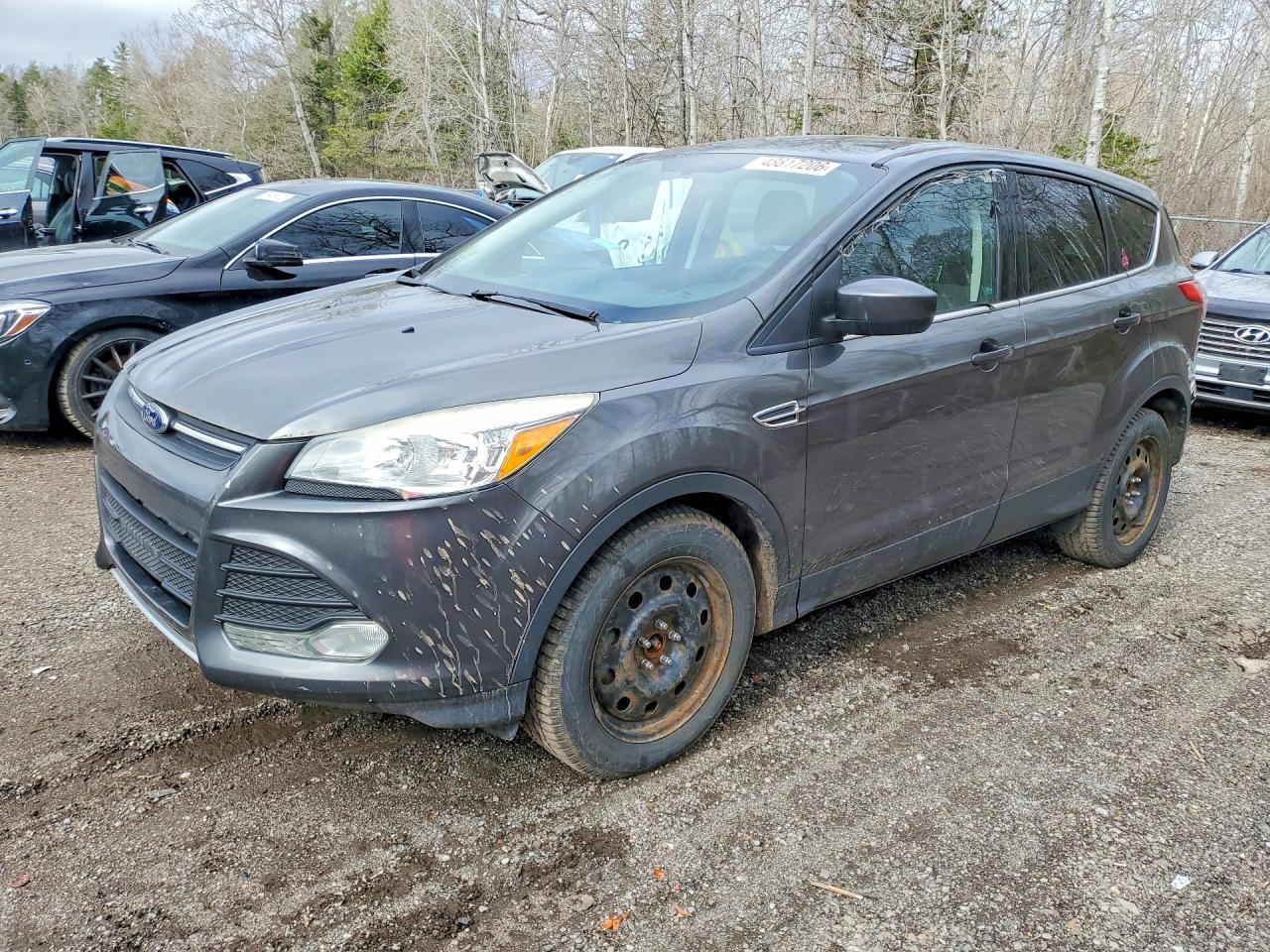 2015 Ford Escape Se - zdjęcie główne