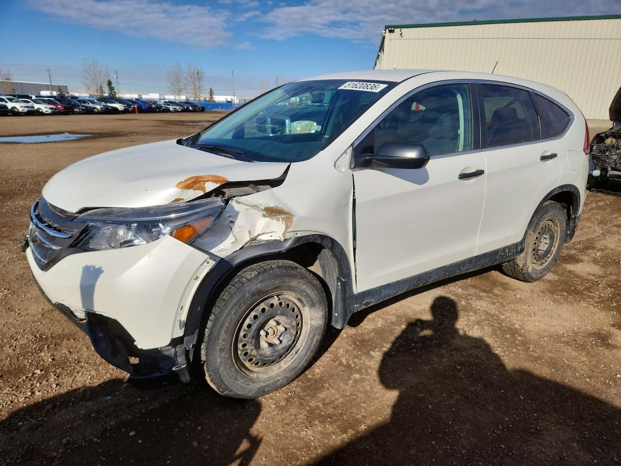 2014 Honda Cr-V Lx - zdjęcie główne