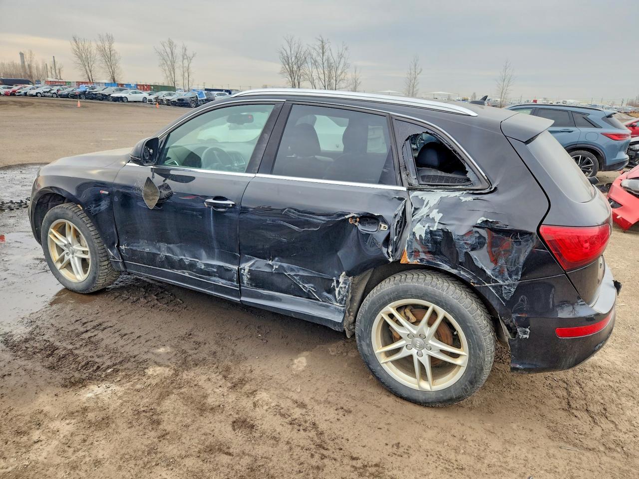 2015 Audi Q5 Tdi Premium Plus - zdjęcie 2