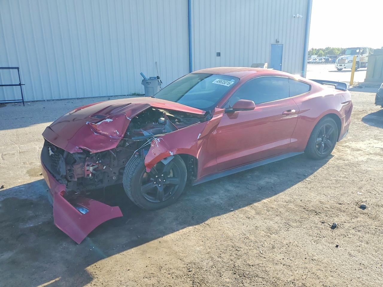 2019 Ford Mustang - zdjęcie główne