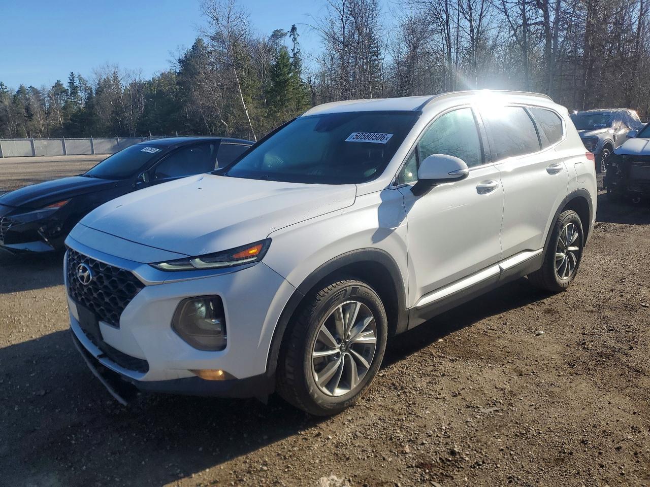 2019 Hyundai Santa Fe Sel 2.4L - zdjęcie główne