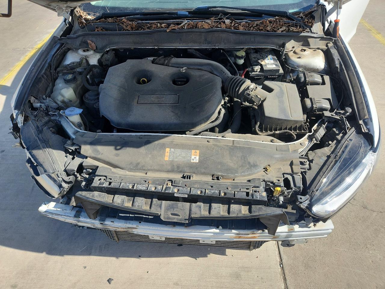 2013 Ford Fusion Se - zdjęcie 11