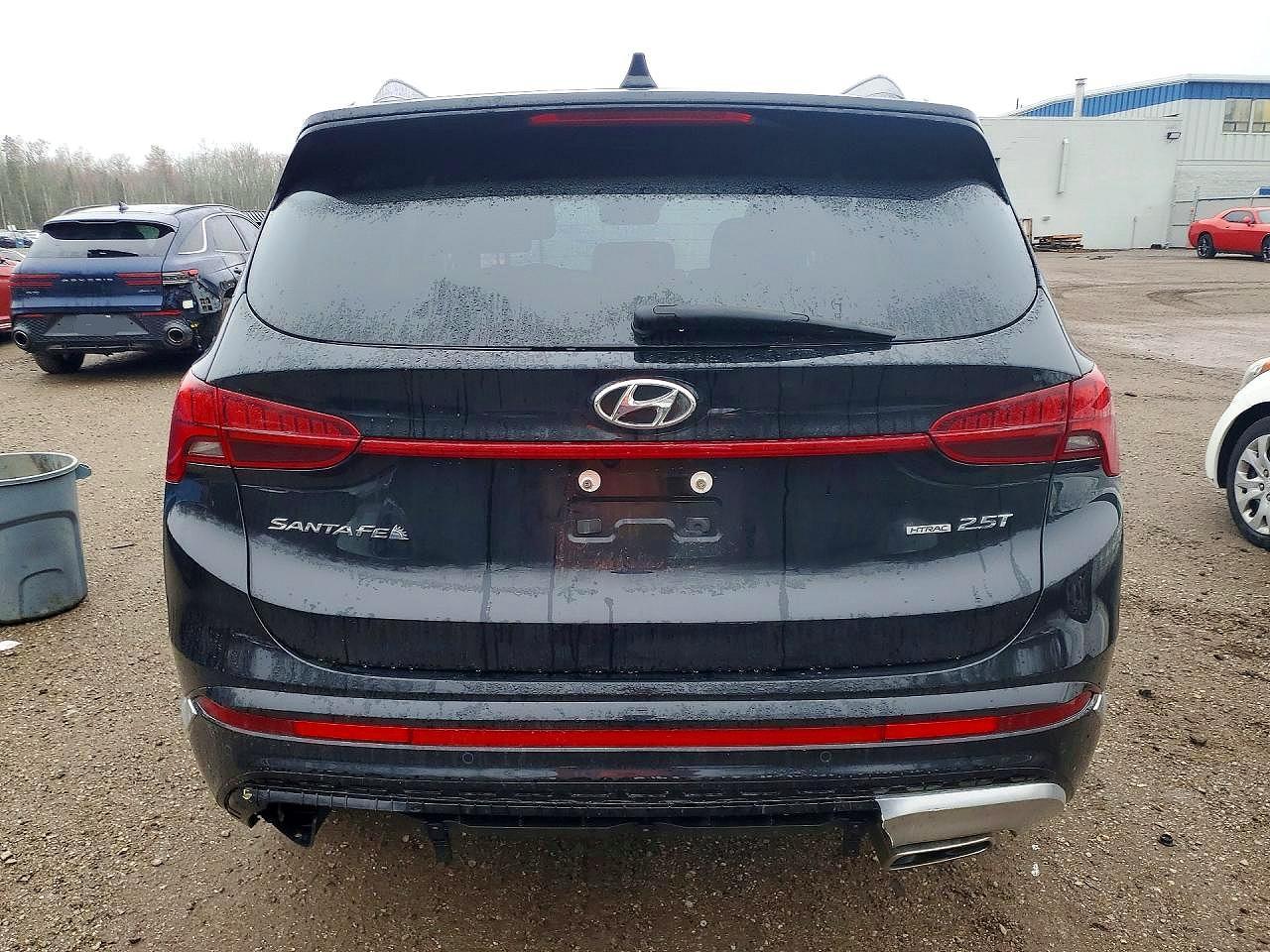2023 Hyundai Santa Fe Calligraphy - zdjęcie 6