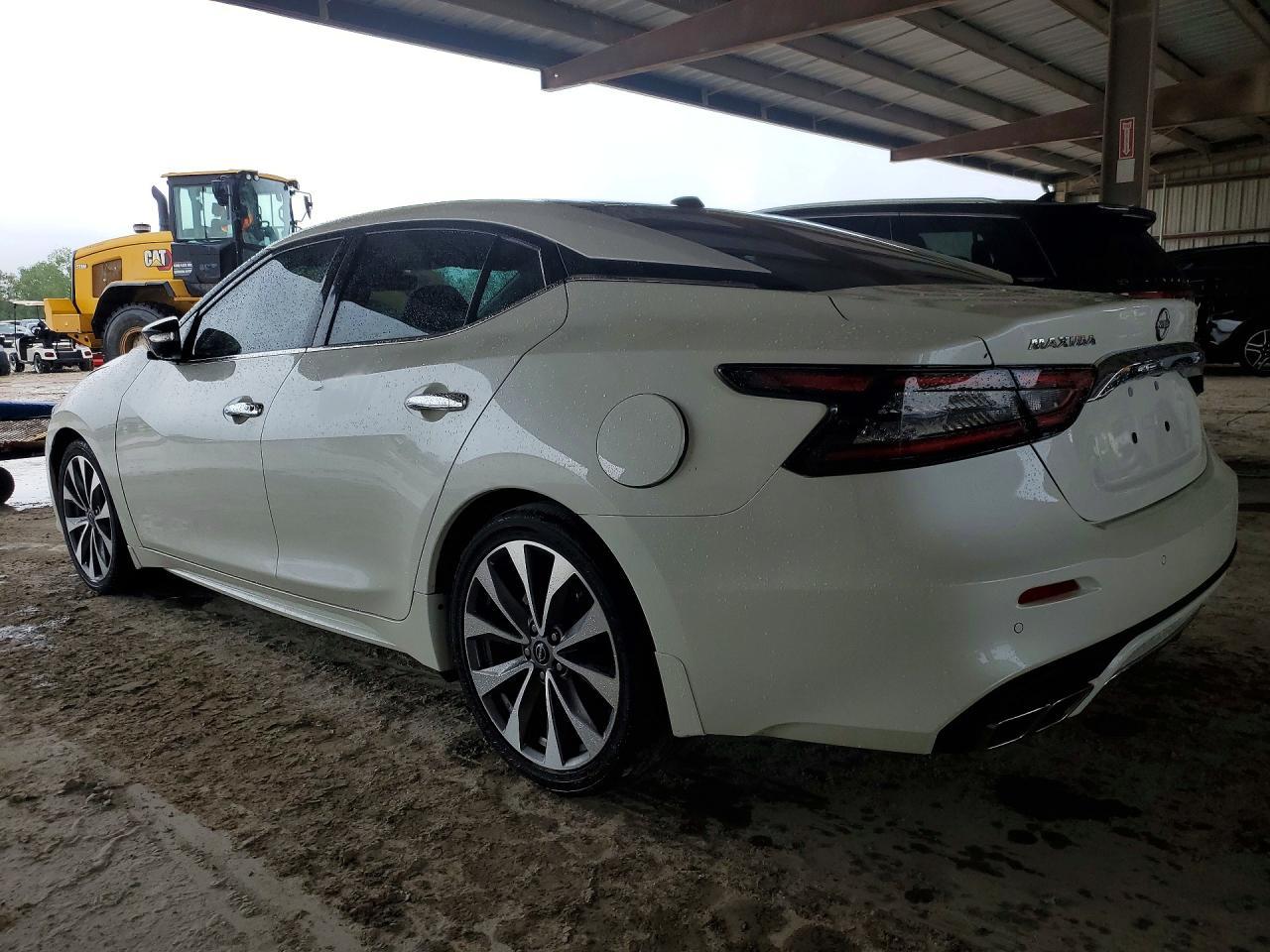 2023 Niss Maxima Platinum - zdjęcie 2