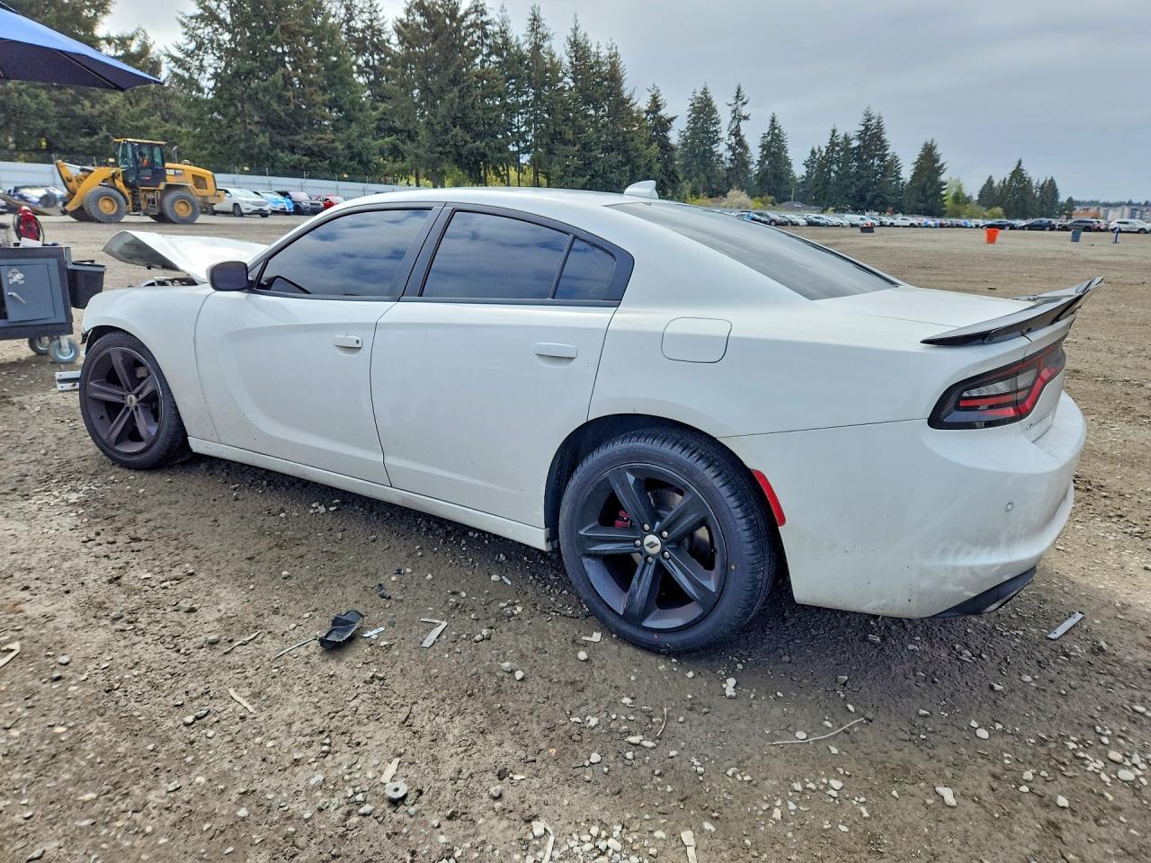 2018 Dodge Charger R - zdjęcie 2