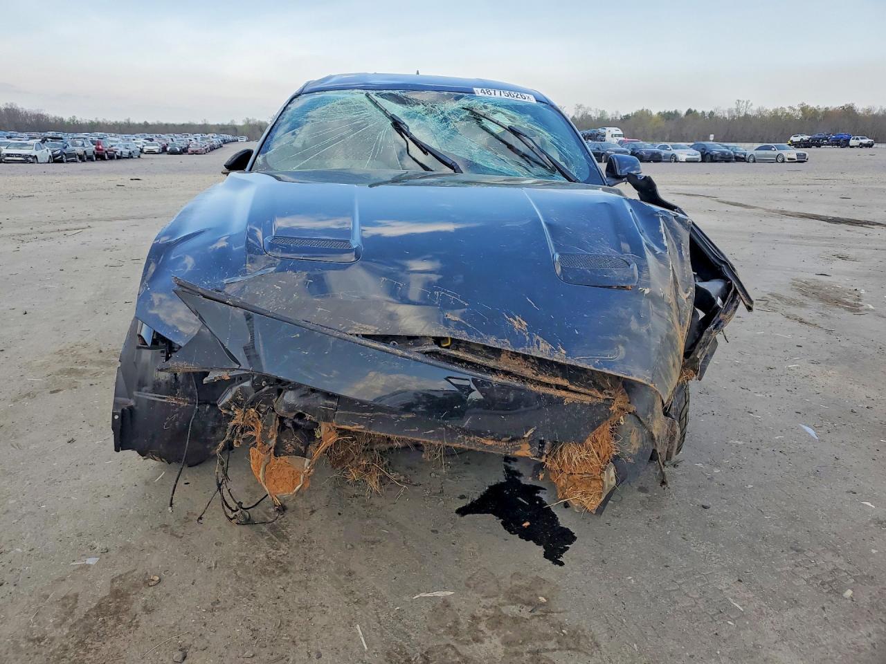 2020 Ford Mustang Gt - zdjęcie 5