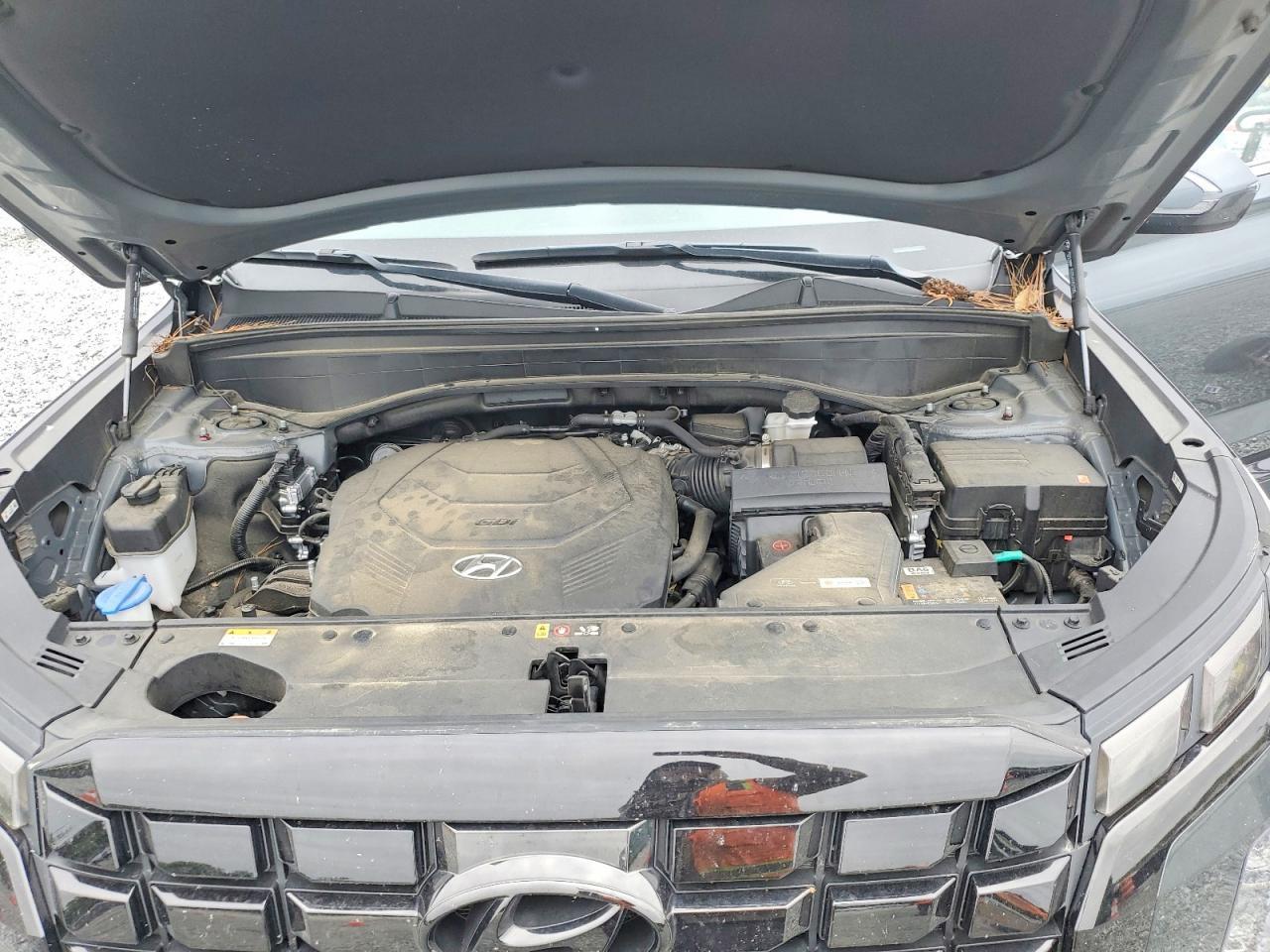 2023 Hyundai Palisade Xrt - zdjęcie 12