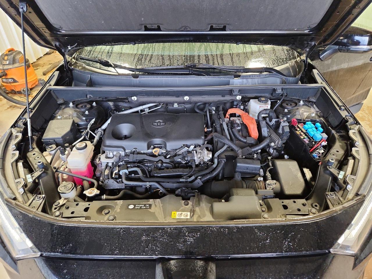 2024 Toyota Rav4 Hybrid Xle - zdjęcie 12