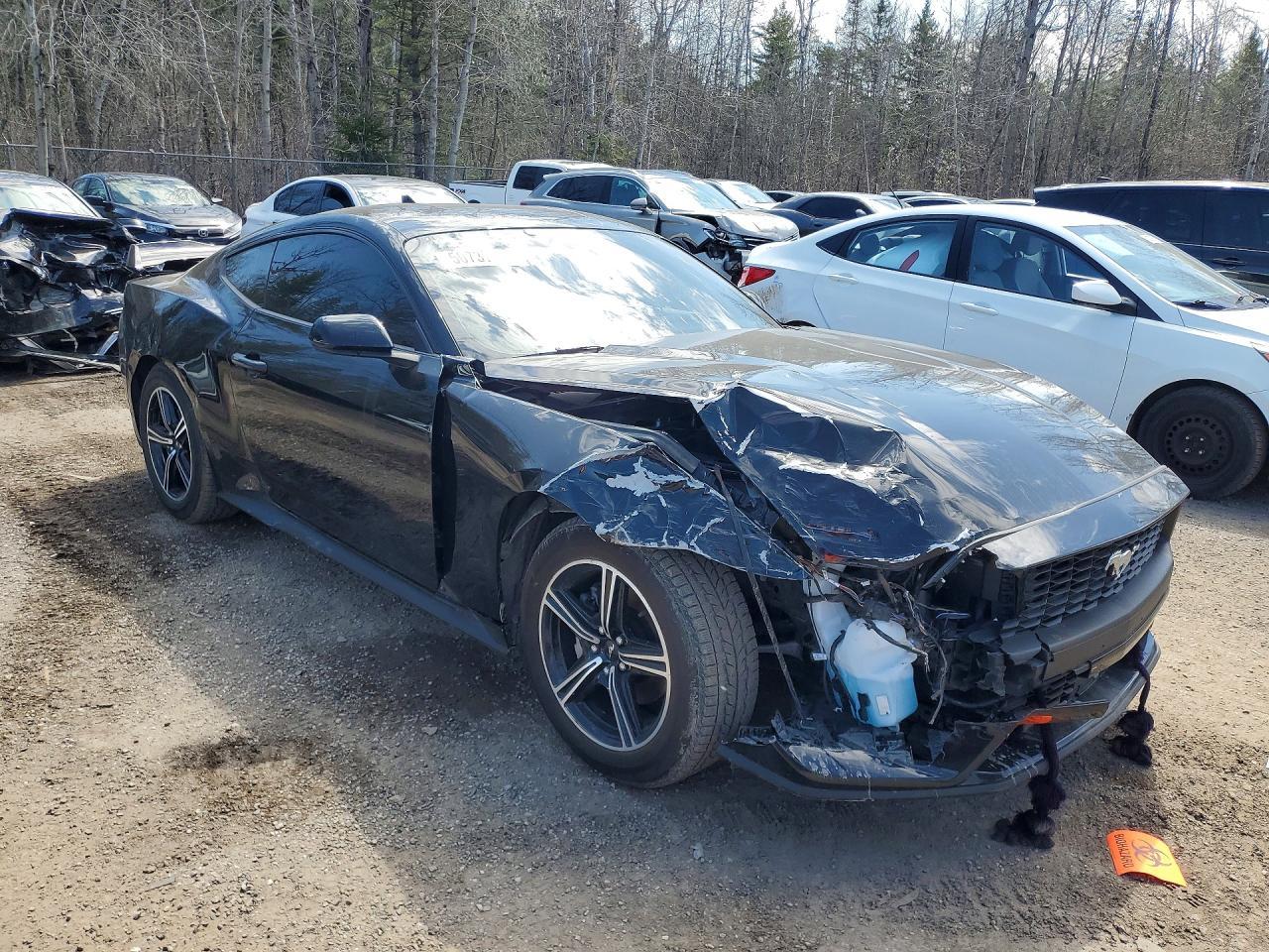 2024 Ford Mustang - zdjęcie 4