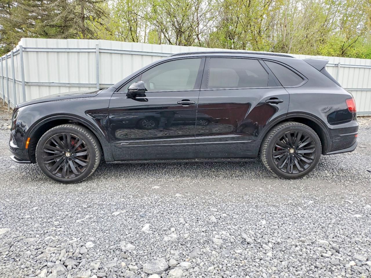 2020 Bentley Bentayga Speed - zdjęcie 13