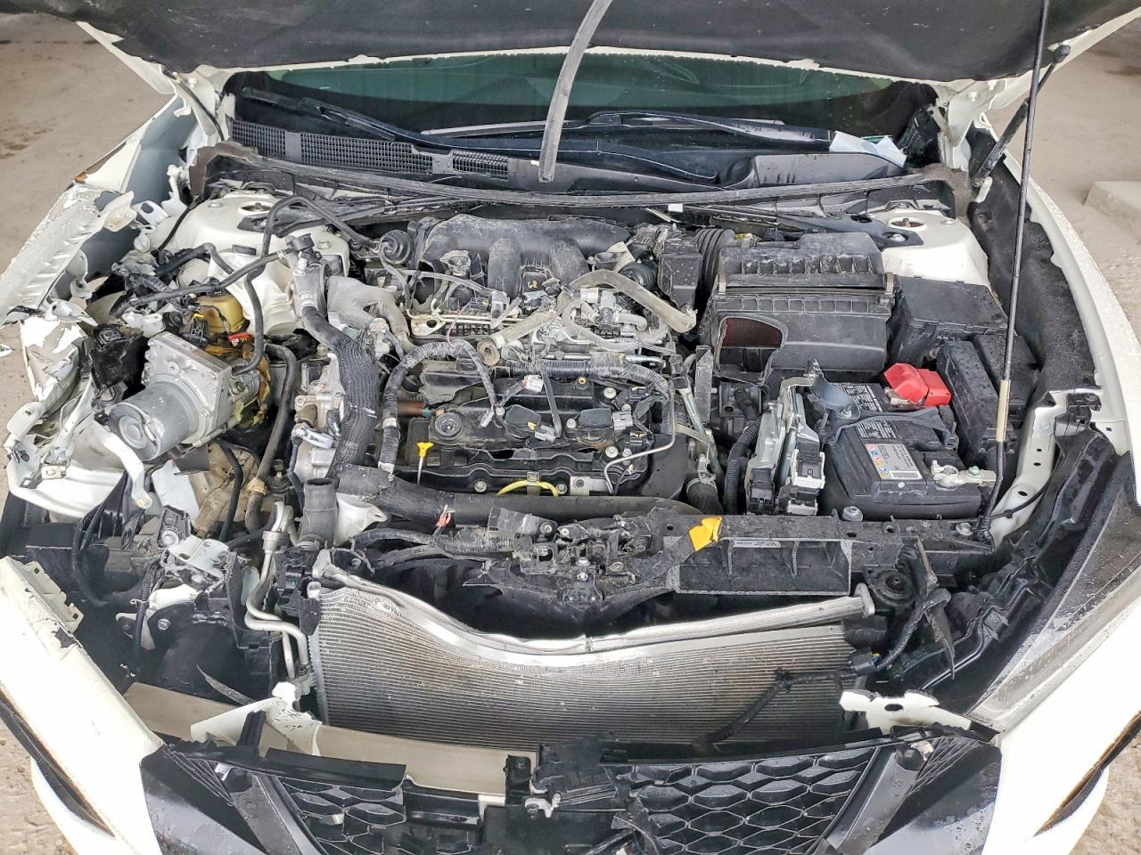 2023 Niss Maxima Platinum - zdjęcie 11