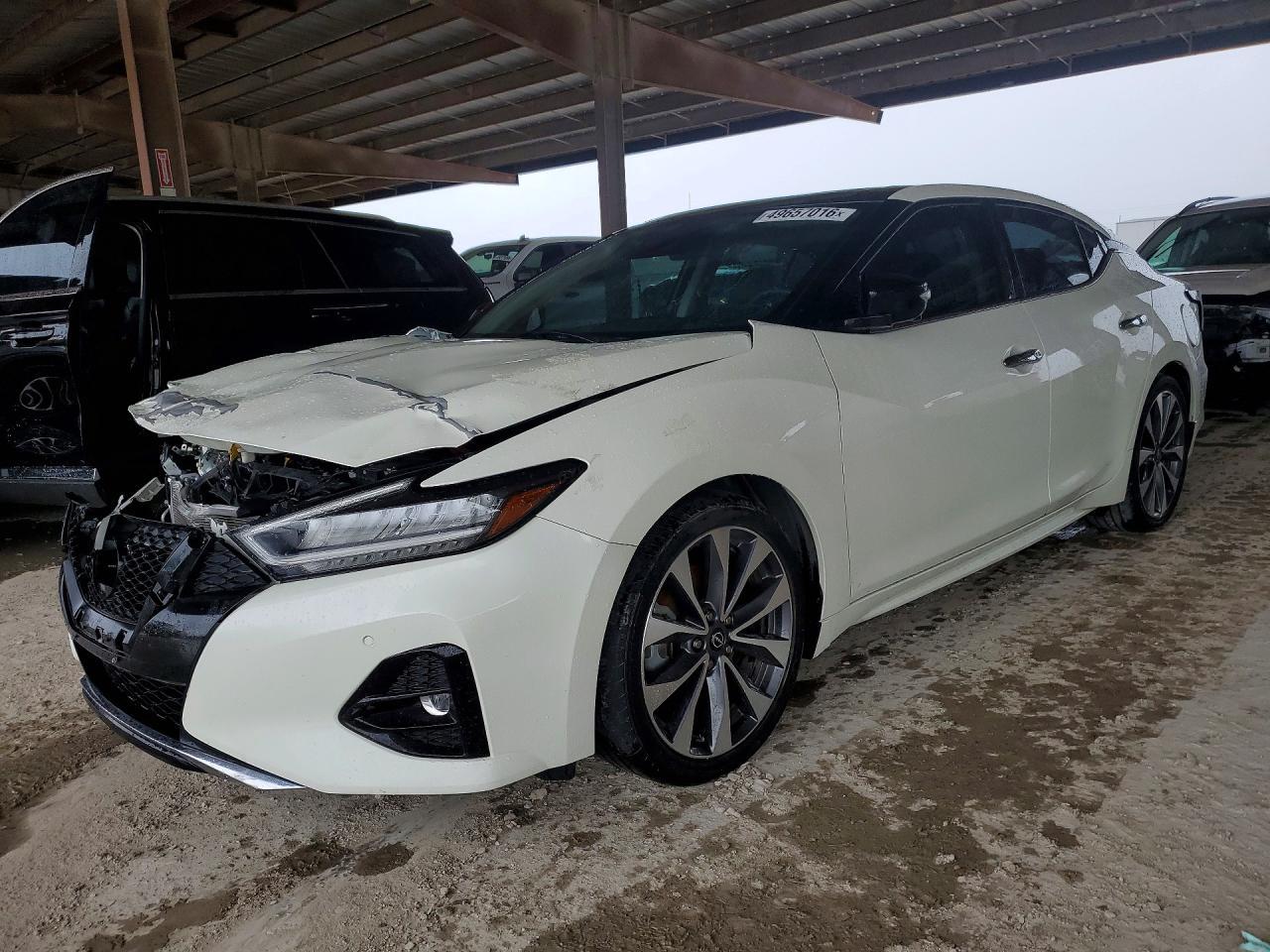 2023 Niss Maxima Platinum - zdjęcie główne