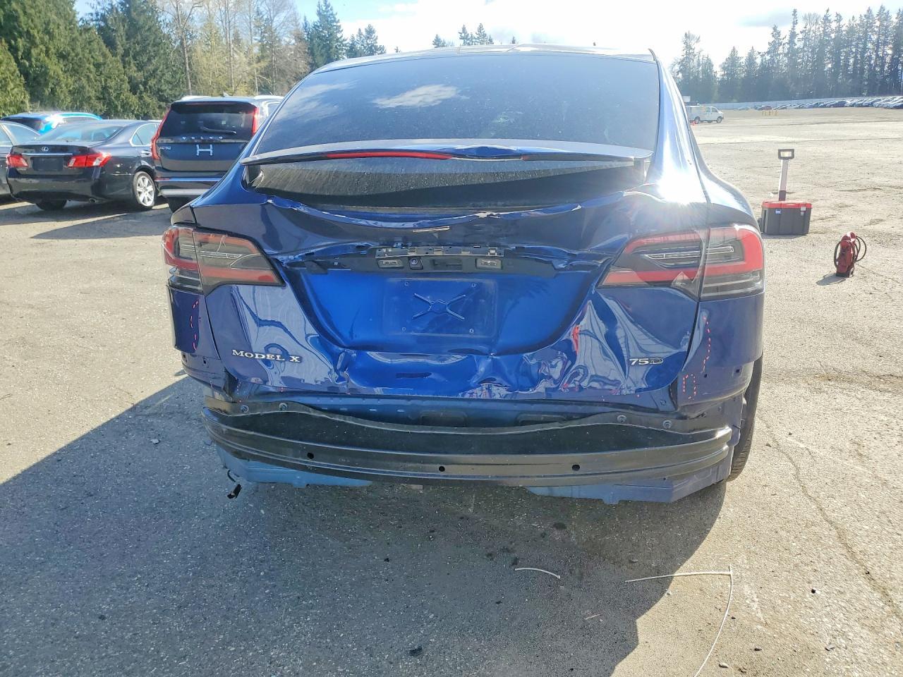 2017 Tesla Model X - zdjęcie 6