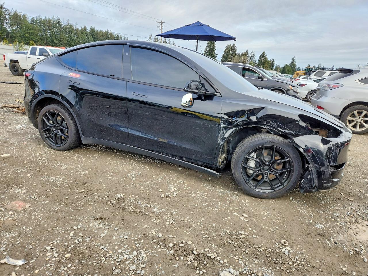 2024 Tesla Model Y - zdjęcie 4