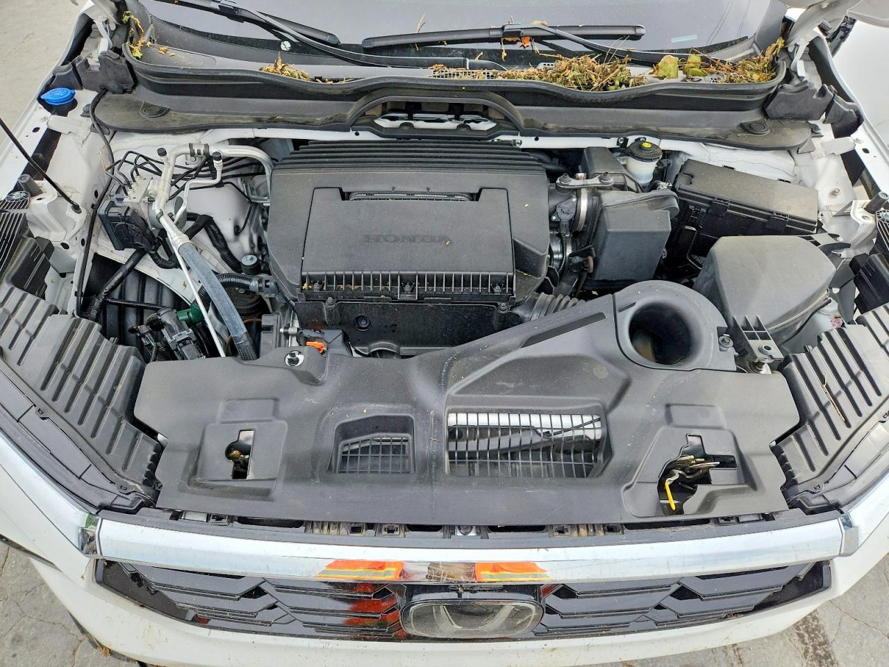 2024 Honda Pilot Elite - zdjęcie 12