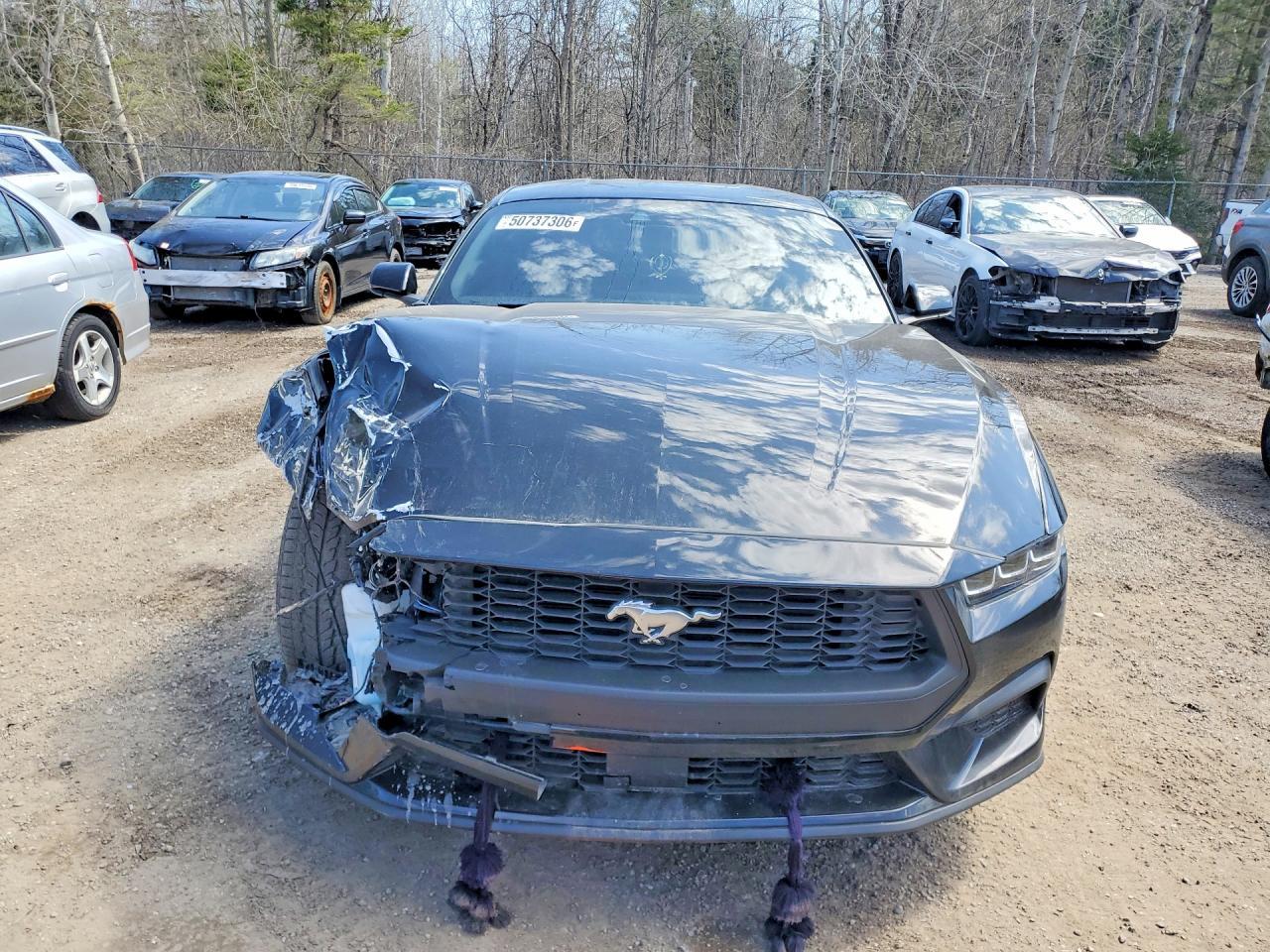 2024 Ford Mustang - zdjęcie 5