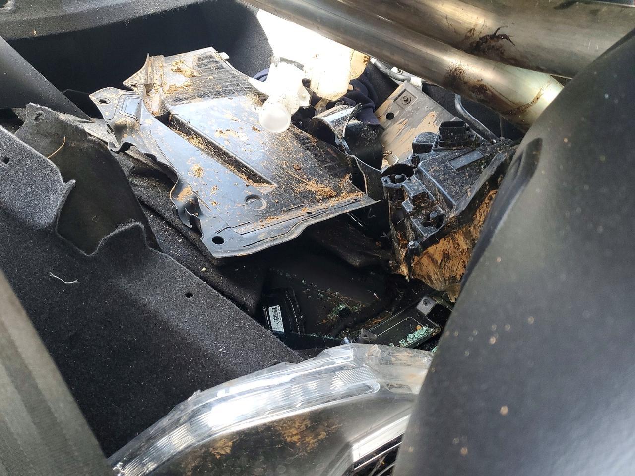 2020 Ford Mustang Gt - zdjęcie 10