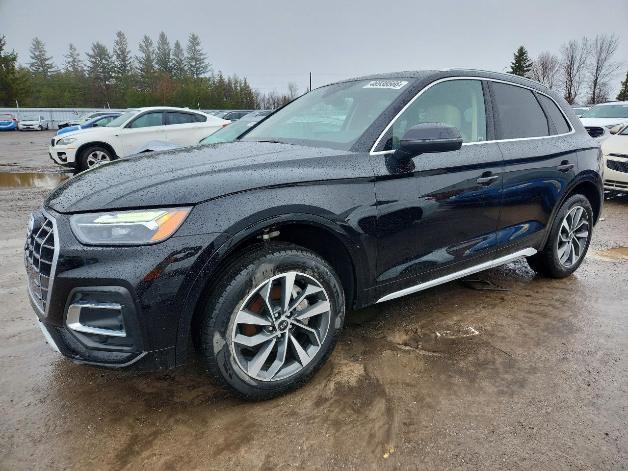 2025 Audi Q5 Premium 40 - zdjęcie główne