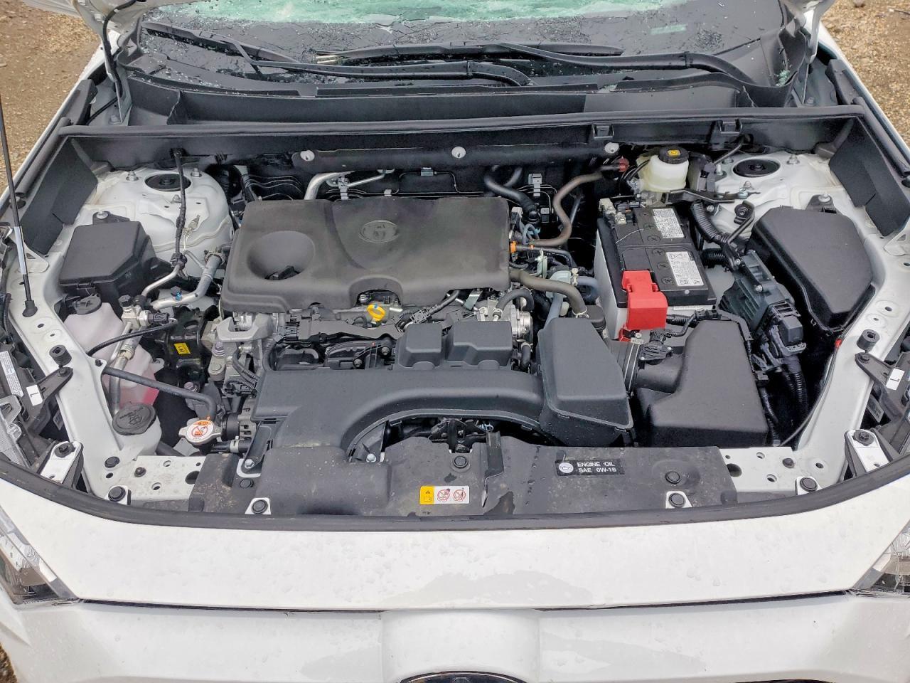 2025 Toyota Rav4 Xle - zdjęcie 12