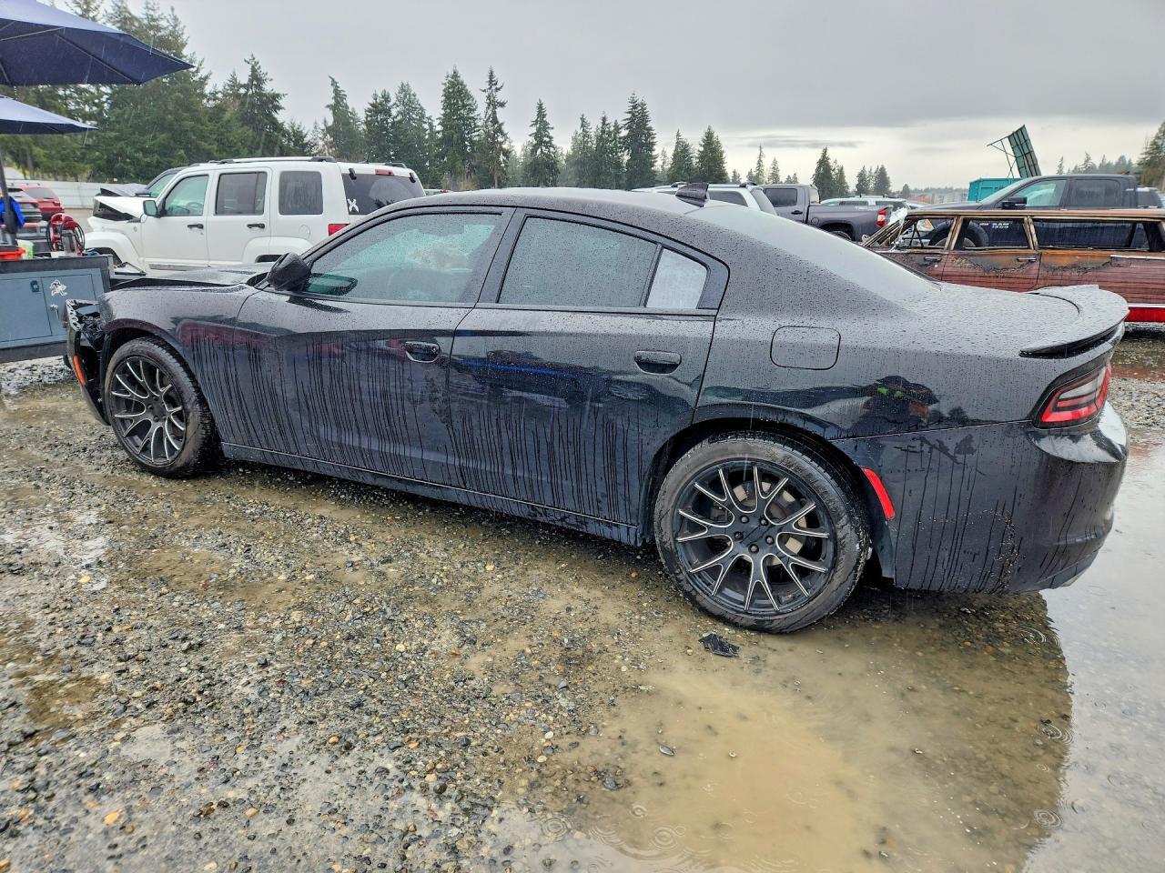 2017 Dodge Charger Sxt - zdjęcie 2