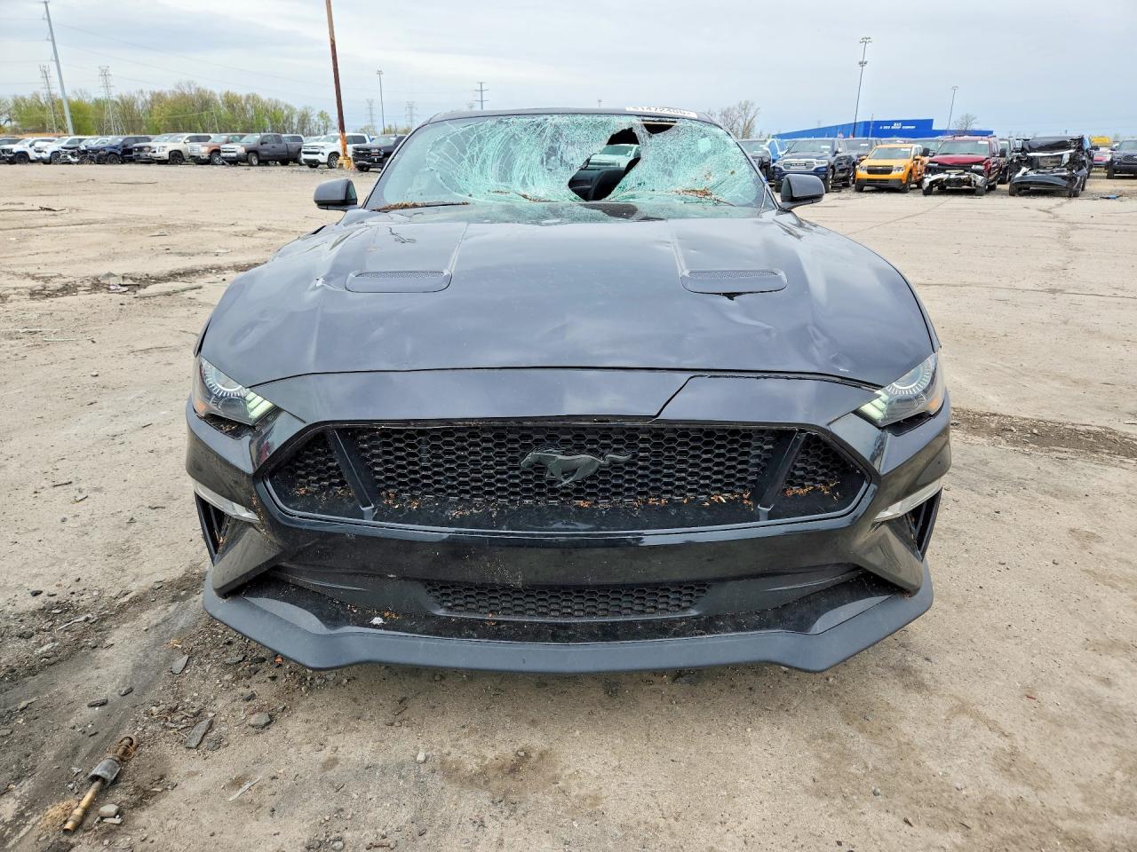 2022 Ford Mustang Gt - zdjęcie 5