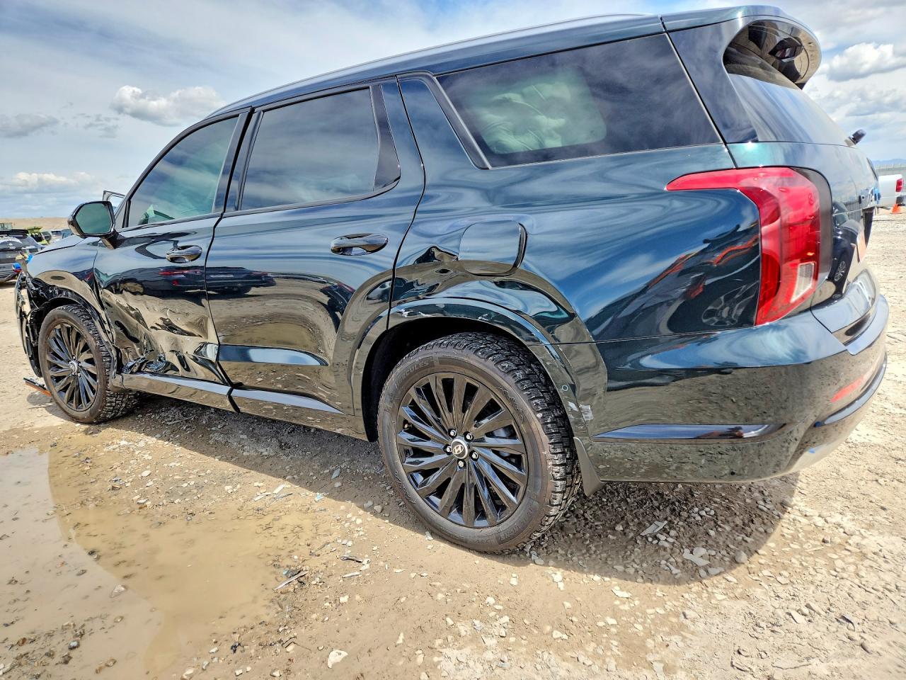 2023 Hyundai Palisade Calligraphy - zdjęcie 2