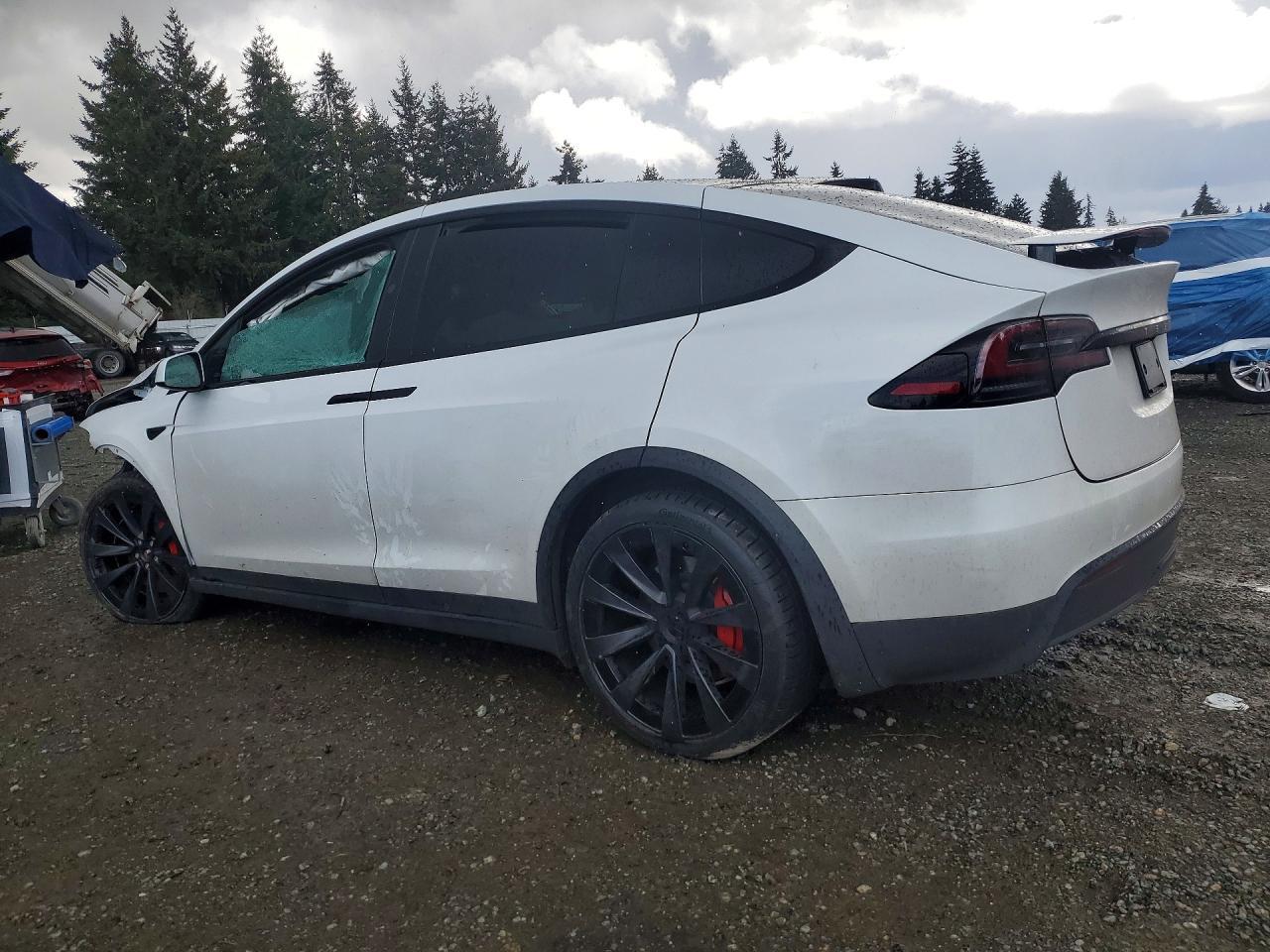 2024 Tesla Model X - zdjęcie 2